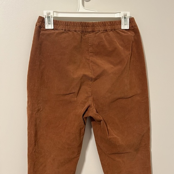 Marine Layer Corduroy Brown Pants Fall Academia Academic Size XS - Picture 4 of 5